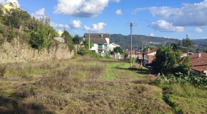 Terreno em São Pedro do Sul, Várzea e Baiões de 3 020 m²