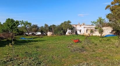 Terreno em Conceição e Estoi de 7 940 m²