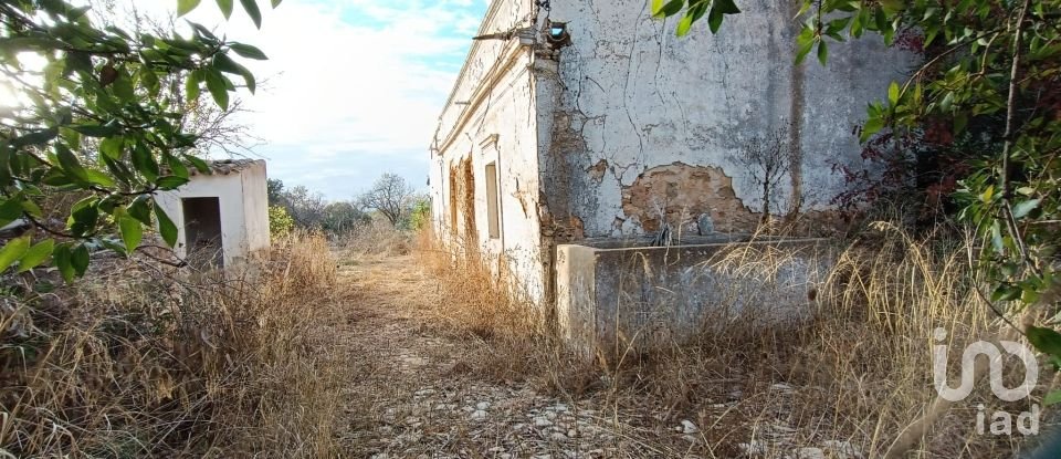 Terreno em Conceição e Estoi de 7 940 m²