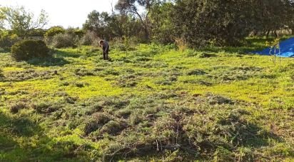 Terreno em Conceição e Estoi de 7 940 m²