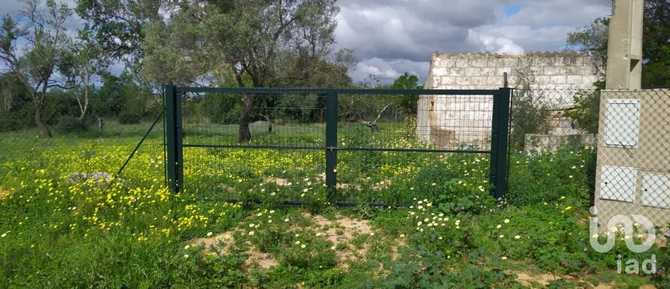 Terreno em Conceição e Estoi de 7 940 m²