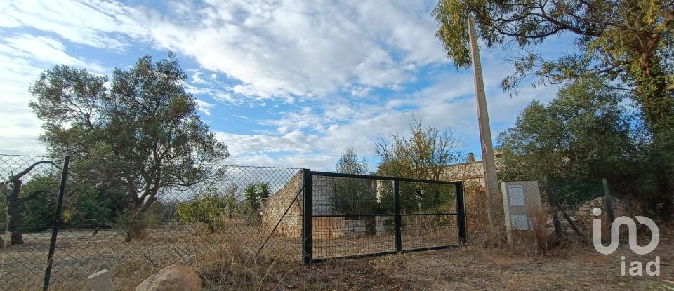 Terreno em Conceição e Estoi de 7 940 m²