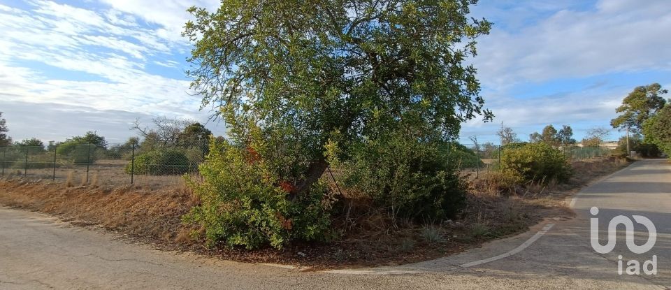 Terreno em Conceição e Estoi de 7 940 m²