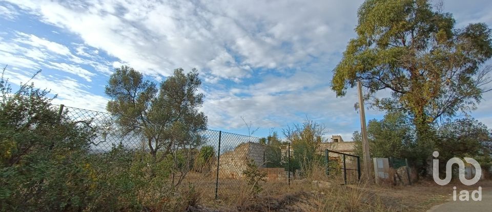 Terreno em Conceição e Estoi de 7 940 m²