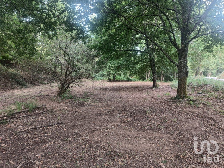 Terreno em Graça de 7 231 m²