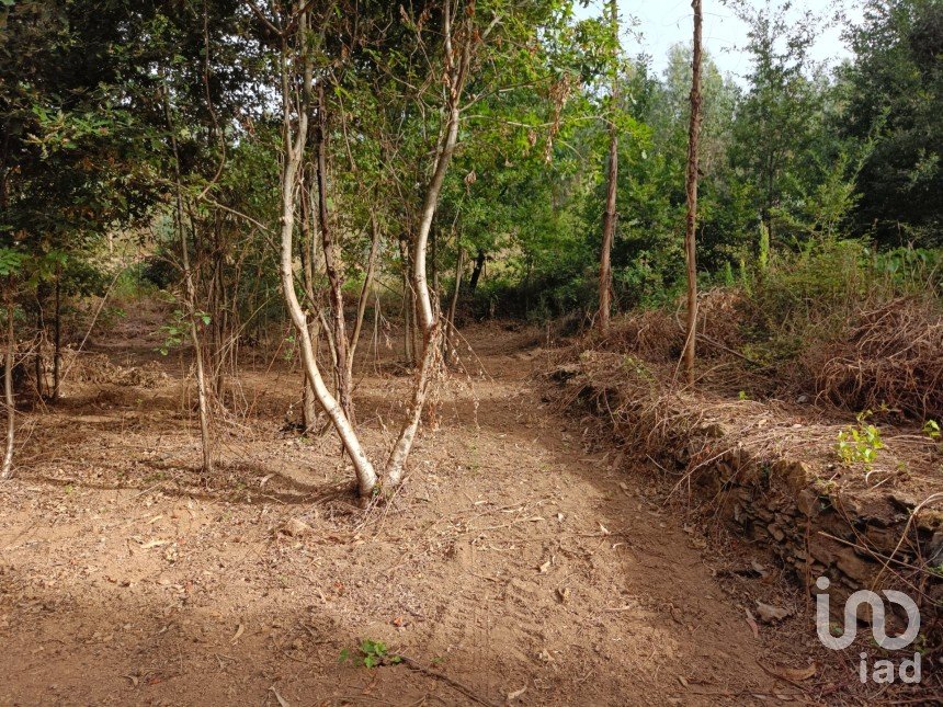 Terreno em Graça de 5 274 m²