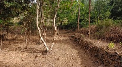 Terreno em Graça de 5 274 m²