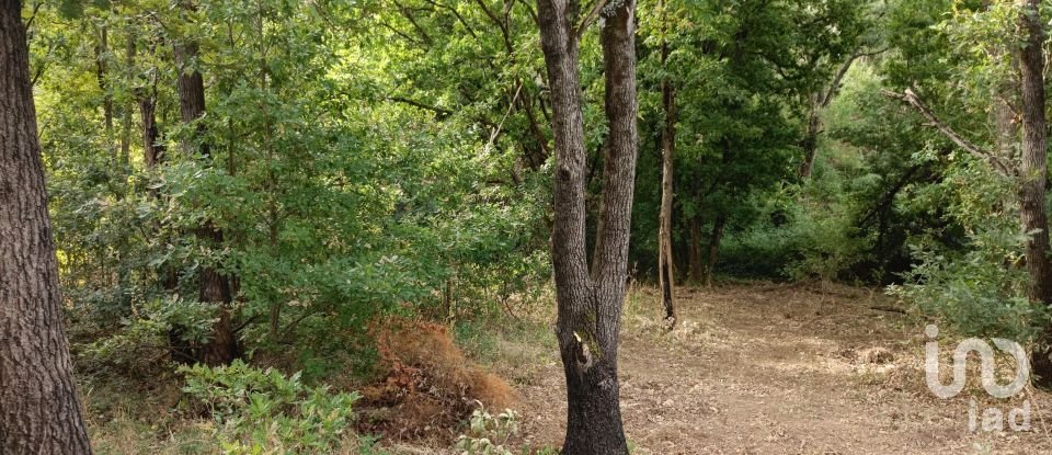 Terreno em Graça de 5 274 m²