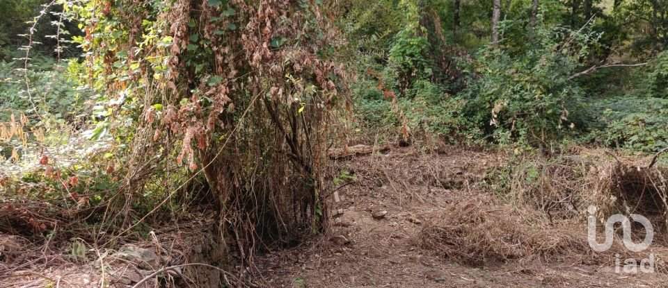 Terreno em Graça de 5 274 m²