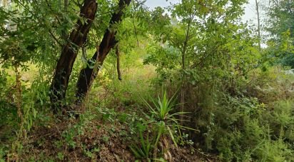 Terreno em Graça de 5 274 m²