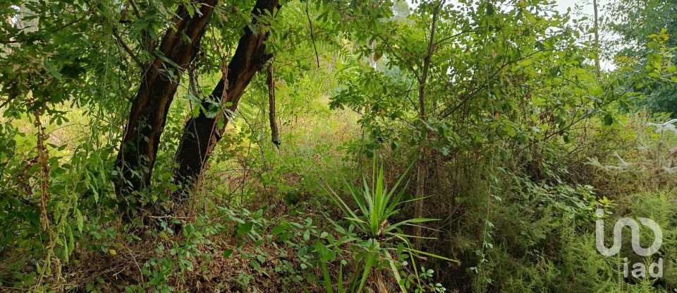 Terreno em Graça de 5 274 m²