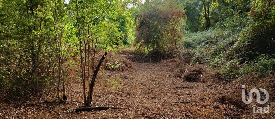 Terreno em Graça de 5 274 m²