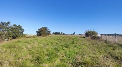 Terreno para construção em A dos Cunhados e Maceira de 405 m²