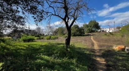 Building land in Loulé (São Clemente) of 1,080 m²