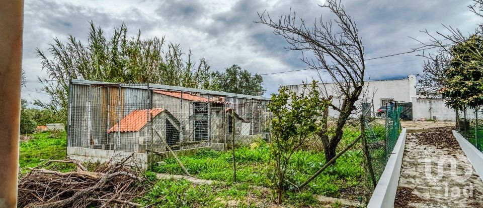 Quinta T4 em Cartaxo e Vale da Pinta de 226 m²