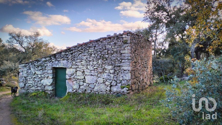 Terrain à Mêda, Outeiro de Gatos e Fonte Longa de 12 338 m²