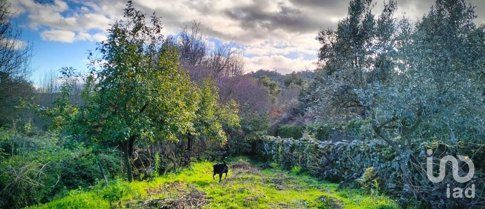 Terrain à Mêda, Outeiro de Gatos e Fonte Longa de 12 338 m²