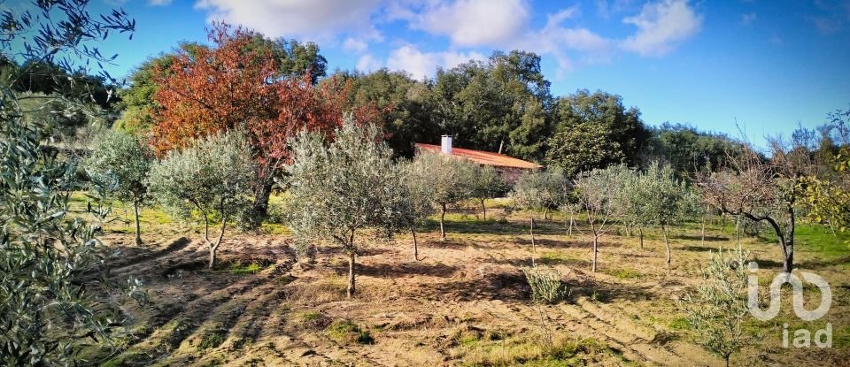 Terrain à Mêda, Outeiro de Gatos e Fonte Longa de 12 338 m²