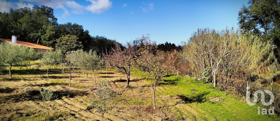 Terrain à Mêda, Outeiro de Gatos e Fonte Longa de 12 338 m²