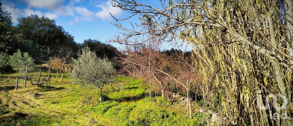 Terrain à Mêda, Outeiro de Gatos e Fonte Longa de 12 338 m²