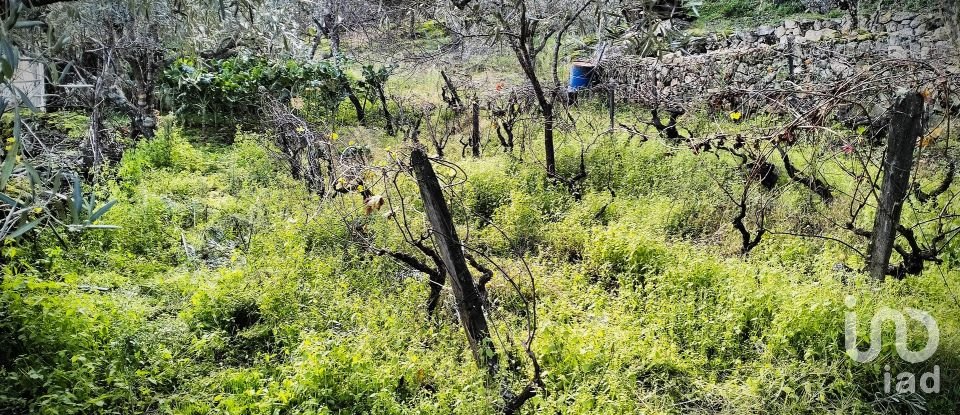 Terrain à Mêda, Outeiro de Gatos e Fonte Longa de 12 338 m²