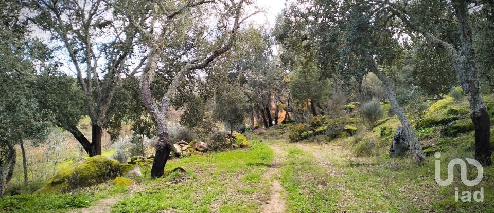 Terrain à Mêda, Outeiro de Gatos e Fonte Longa de 12 338 m²