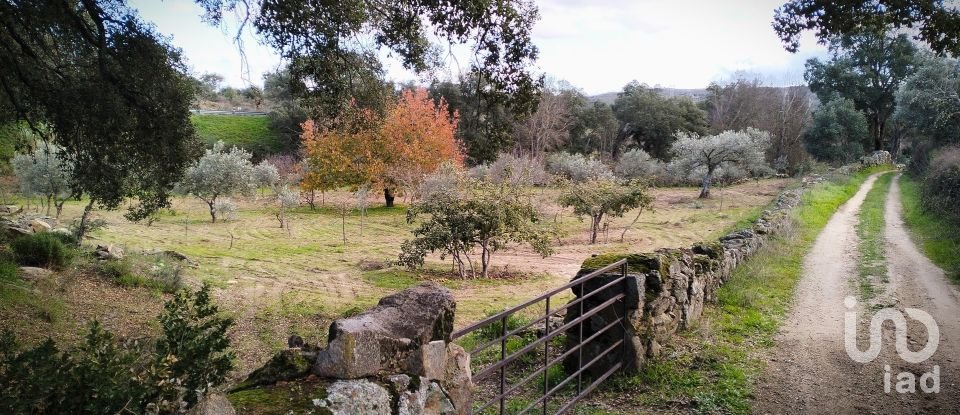 Terrain à Mêda, Outeiro de Gatos e Fonte Longa de 12 338 m²