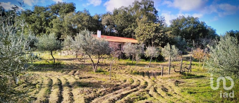 Terrain à Mêda, Outeiro de Gatos e Fonte Longa de 12 338 m²