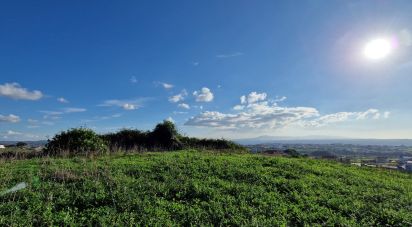 Terrain à Igreja Nova e Cheleiros de 10 000 m²