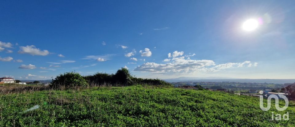 Terrain à Igreja Nova e Cheleiros de 10 000 m²