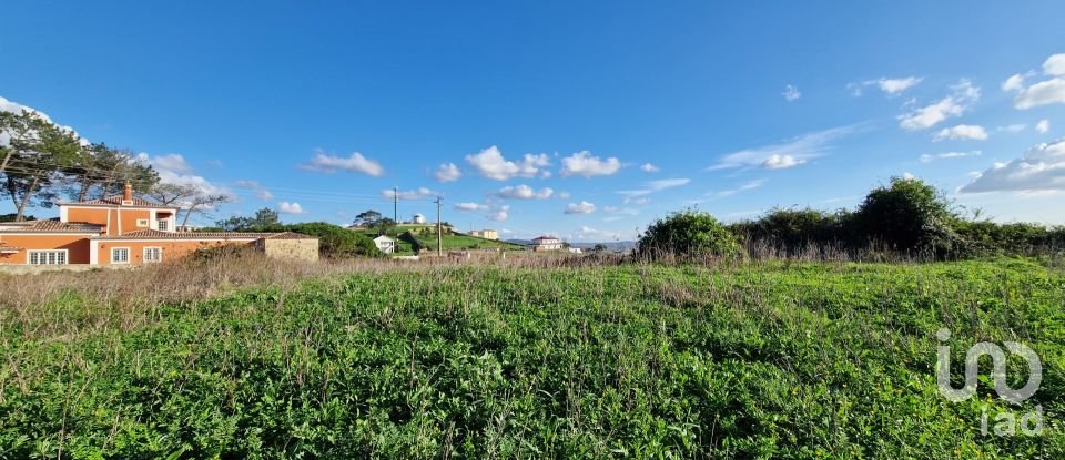 Terrain à Igreja Nova e Cheleiros de 10 000 m²