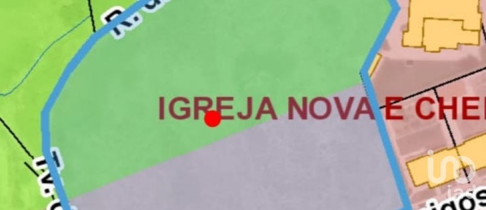 Terrain à Igreja Nova e Cheleiros de 10 000 m²