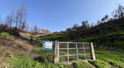 Land in Travanca of 33,350 m²