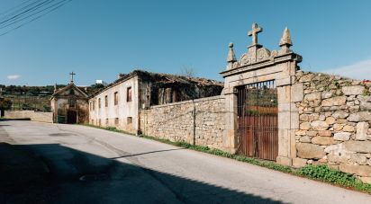 Quinta T0 em Lamego (Almacave e Sé) de 1 660 m²