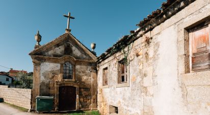 Quinta T0 em Lamego (Almacave e Sé) de 1 660 m²