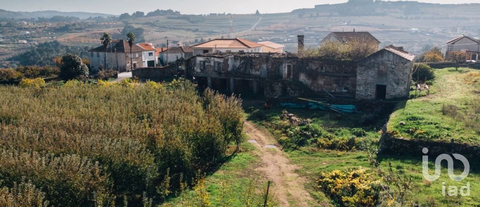 Quinta T0 em Lamego (Almacave e Sé) de 1 660 m²