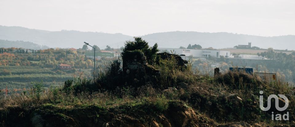 Quinta T0 em Lamego (Almacave e Sé) de 1 660 m²