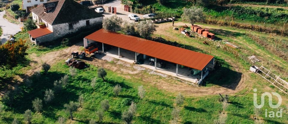 Quinta T0 em Lamego (Almacave e Sé) de 1 660 m²