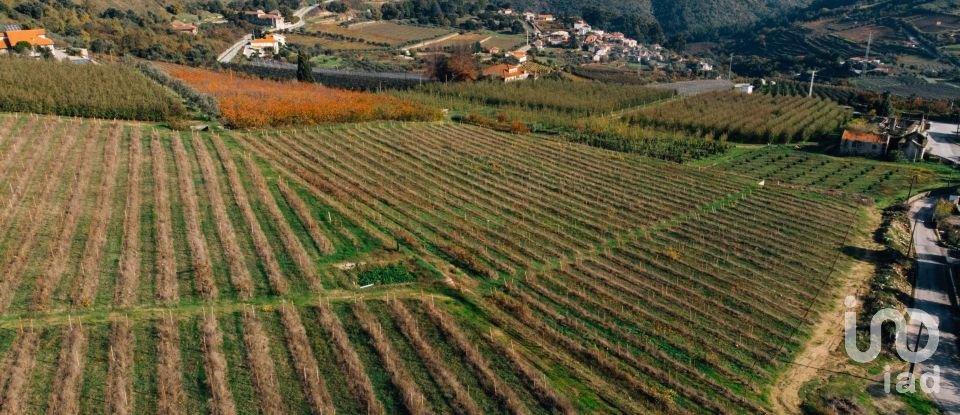 Quinta T0 em Lamego (Almacave e Sé) de 1 660 m²