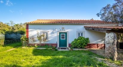 Casa T2 em Alcobaça e Vestiaria de 98 m²