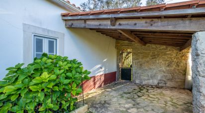 Casa T2 em Alcobaça e Vestiaria de 98 m²