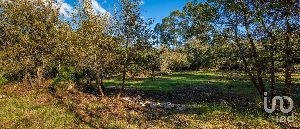 Casa T2 em Alcobaça e Vestiaria de 98 m²