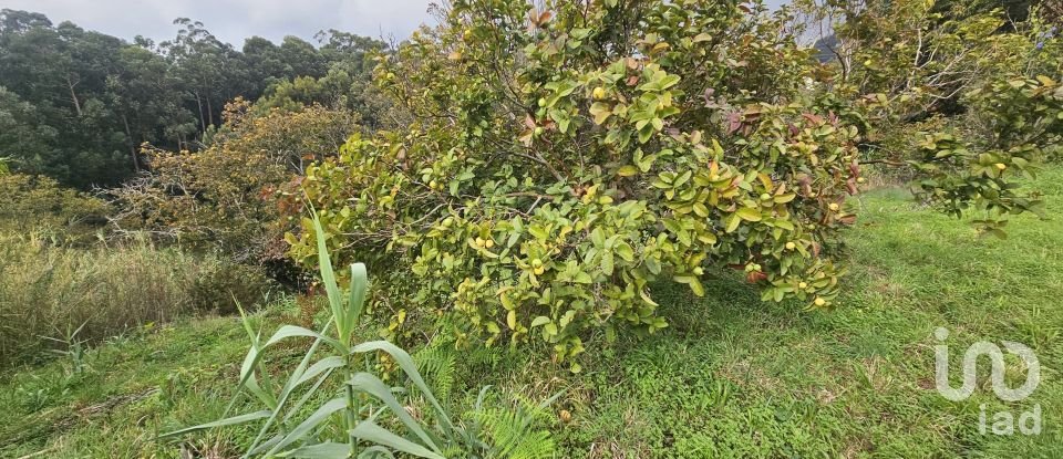 Terreno em Gaula de 660 m²