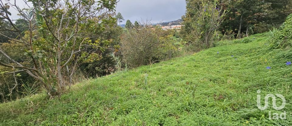 Terreno em Gaula de 660 m²