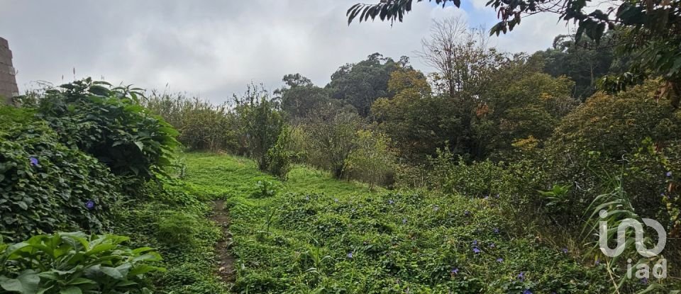 Terreno em Gaula de 660 m²