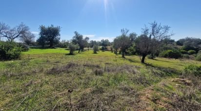 Terreno em Almancil de 1 800 m²