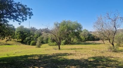 Terreno em Almancil de 1 800 m²