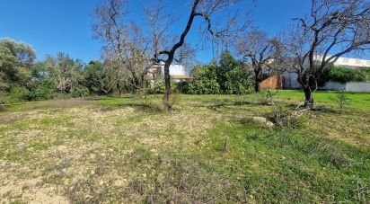 Terreno em Almancil de 1 800 m²