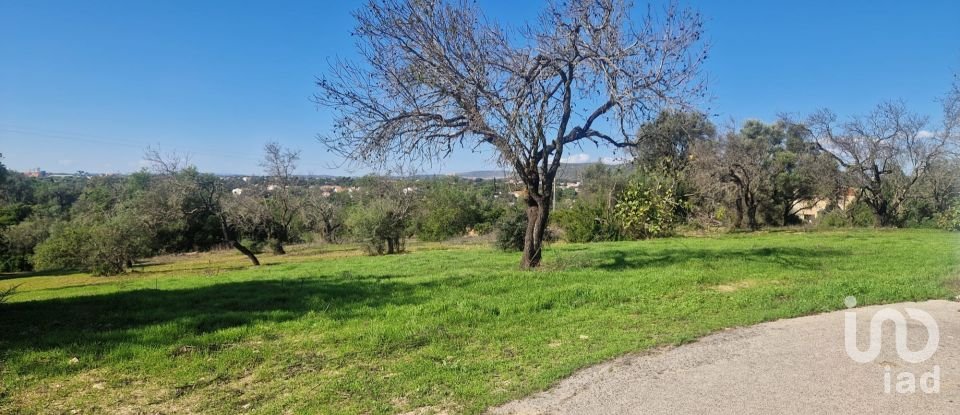 Terreno em Almancil de 1 800 m²