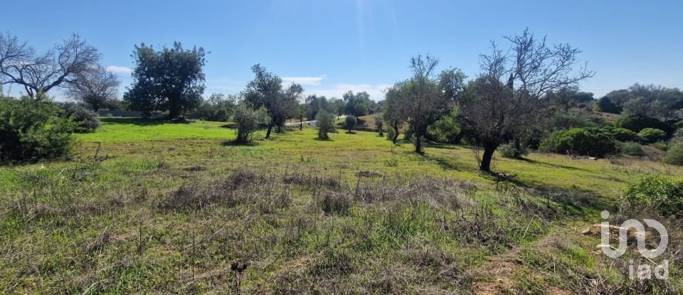 Terreno em Almancil de 1 800 m²